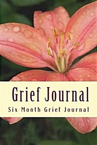 Six Month Grief Journal (Paperback)