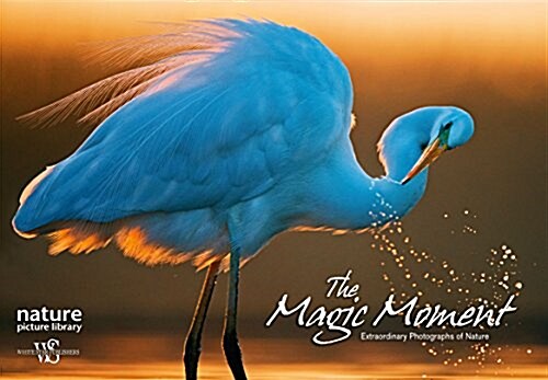 The Magic Moment: Extraordinary Photographs of Nature (Hardcover)