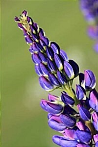 Close-Up of Purple Lupin, for the Love of Flowers: Blank 150 Page Lined Journal for Your Thoughts, Ideas, and Inspiration (Paperback)
