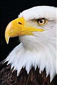 Magnificent Bald Eagle Portrait, Birds of the World: Blank 150 Page Lined Journal for Your Thoughts, Ideas, and Inspiration (Paperback)