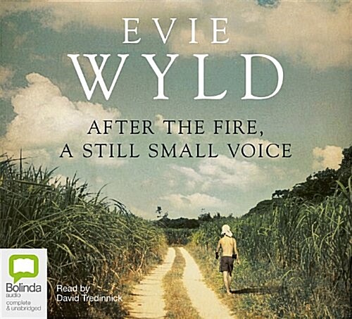 After the Fire, a Still Small Voice (Audio CD)