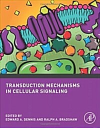 Transduction Mechanisms in Cellular Signaling: Cell Signaling Collection (Paperback)