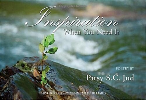 Inspiration When You Need It (Paperback)