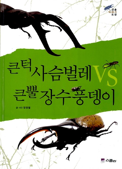 [중고] 큰턱 사슴벌레 vs 큰뿔 장수풍뎅이