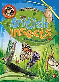 Nature Detective: British Insects (Paperback)