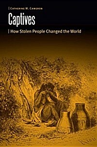 Captives: How Stolen People Changed the World (Hardcover)