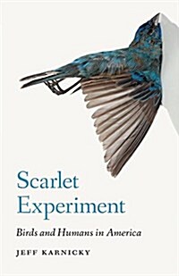 Scarlet Experiment: Birds and Humans in America (Hardcover)