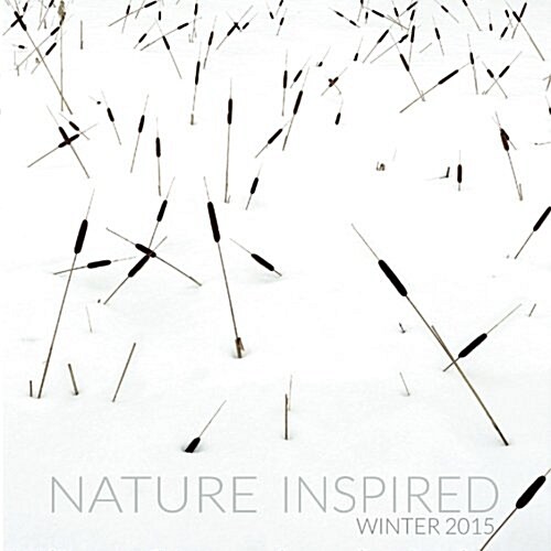 Nature Inspired: Winter (Paperback)