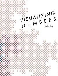 Visualizing Numbers (Hardcover)