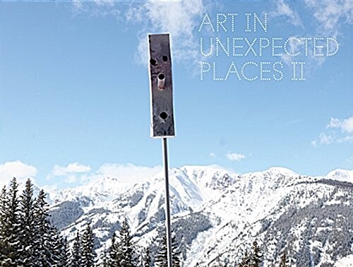 Art in Unexpected Places II (Hardcover)