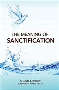 The Meaning of Sanctification (Paperback)