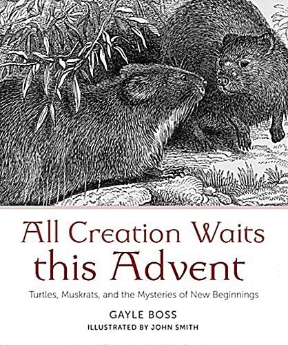 All Creation Waits: The Advent Mystery of New Beginnings (Paperback)