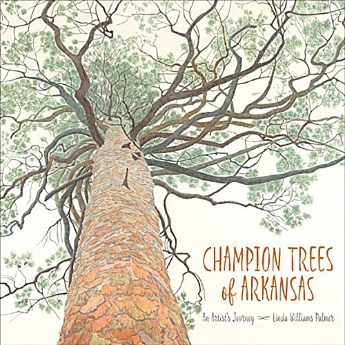 Champion Trees of Arkansas: An Artists Journey (Hardcover)