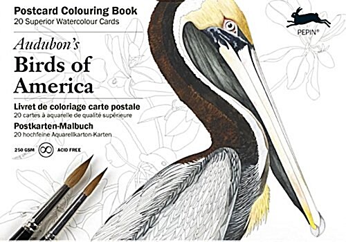 Audubons Birds of Amer (Hardcover)