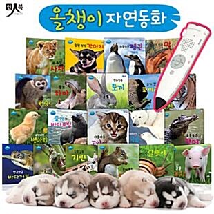 [중고] [미개봉새책] 올챙이 자연동화 (전20권:보드북) 세이펜 사용가능!