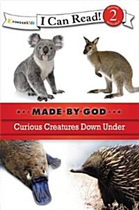 Curious Creatures Down Under: Level 2 (Paperback)
