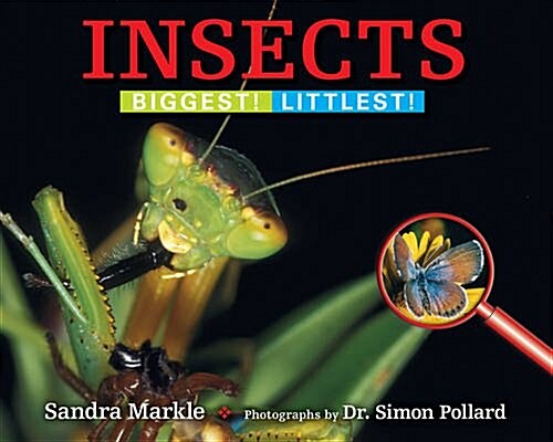 Insects: Biggest! Littlest! (Paperback)