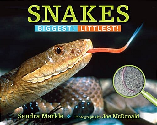 Snakes: Biggest! Littlest! (Paperback)