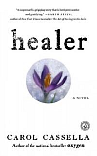 Healer (Paperback)