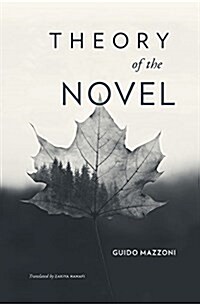 Theory of the Novel (Hardcover)