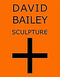 David Bailey: Sculpture + (Hardcover)