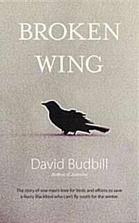 Broken Wing (Paperback)