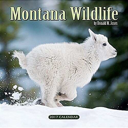 Montana Wildlife 2017 Calendar (Calendar, Wall)