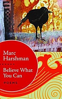Believe What You Can: Poems (Paperback)