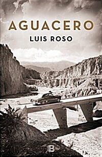 Aguacero / Rainstorm (Paperback)