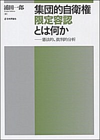 集團的自衛權限定容認とは何か  憲法的、批判的分析 (單行本)