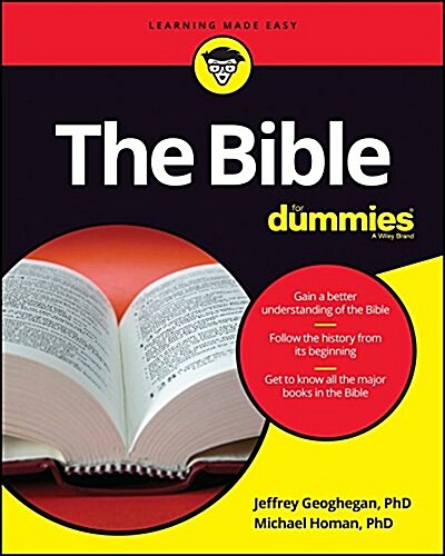 The Bible For Dummies (Paperback)