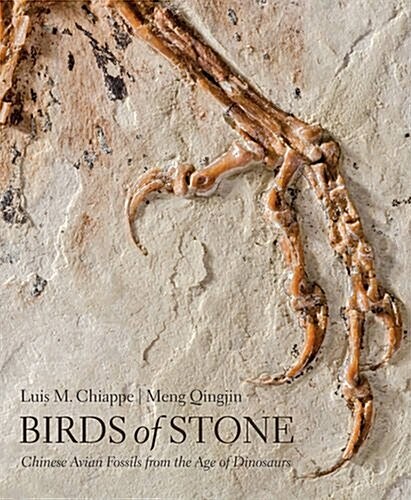 Birds of Stone: Chinese Avian Fossils from the Age of Dinosaurs (Hardcover)