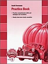 [중고] Reading 2007 Practice Book Grade 5 (Paperback)