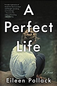 A Perfect Life (Paperback)