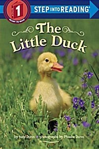 The Little Duck (Paperback)
