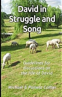 David in Struggle and Song: Guidelines for Discussions on the Life of David (Black & White Version) (Paperback)