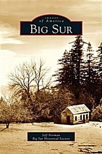 Big Sur (Hardcover)