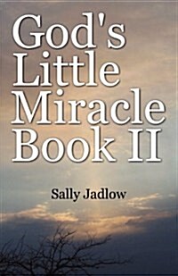 Gods Little Miracle Book II (Paperback)