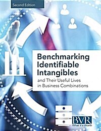 Benchmarking Identifiable Intangibles and Their Useful Lives in Business Combinations, Second Edition (Paperback, 2)