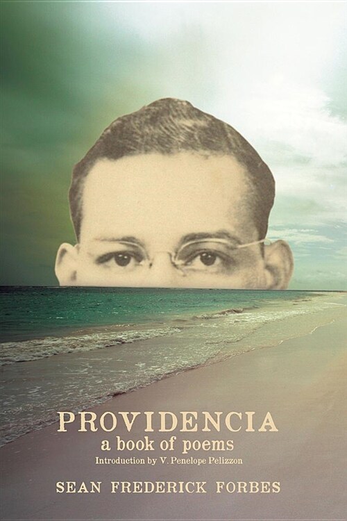 Providencia: A Book of Poems (Paperback)