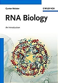 RNA Biology: An Introduction (Paperback)