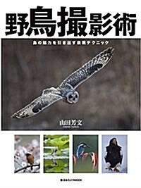 野鳥撮影術―鳥の魅力を引き出す表現テクニック (單行本(ソフトカバ-), 重)