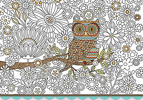 Owl Boxed Note Cards (Other)