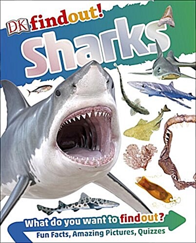 Dkfindout! Sharks (Paperback)