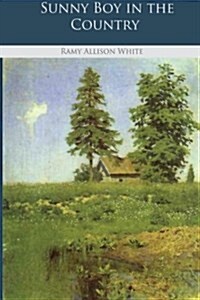 Sunny Boy in the Country (Paperback)