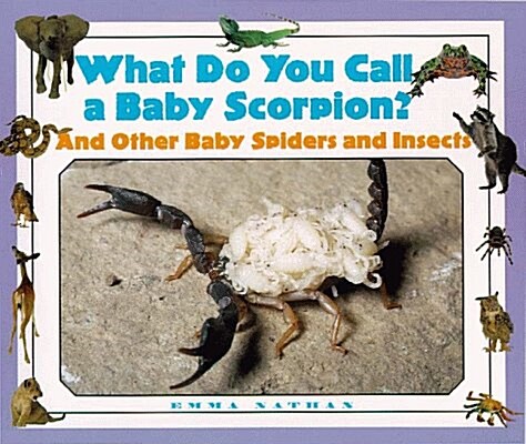 What Do You Call a Baby Scorpion? (Library)