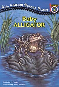 [중고] Baby Alligator (Paperback + CD 1장)