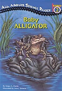 Baby Alligator (Paperback + CD 1장)