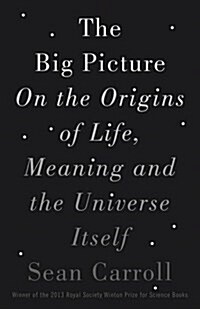 The Big Picture : On the Origins of Life, Meaning, and the Universe Itself (Hardcover)