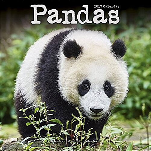 Pandas Calendar 2017 (Calendar)